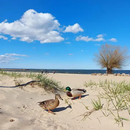 Ab Zum Haff Apartmán Ueckermünde