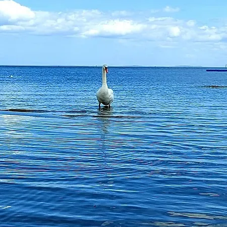 Apartmán Ab Zum Haff Ueckermünde