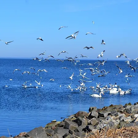 Ab Zum Haff * Ueckermünde